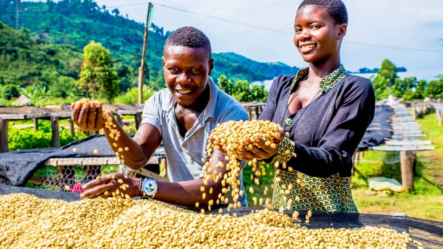 Cafeiculteurs