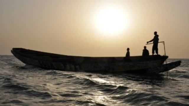 Pirogue