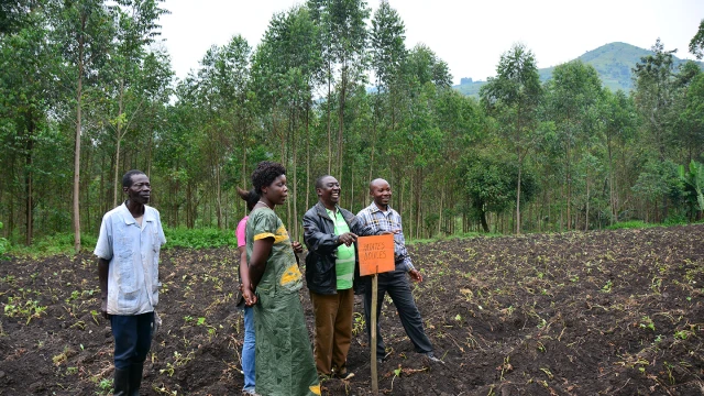 Terrain agricole