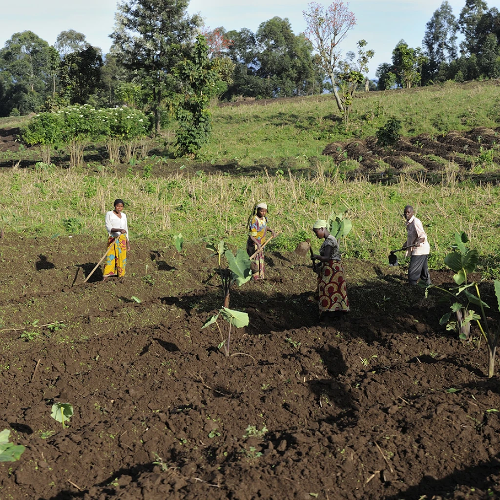 Agriculteurs en RDC
